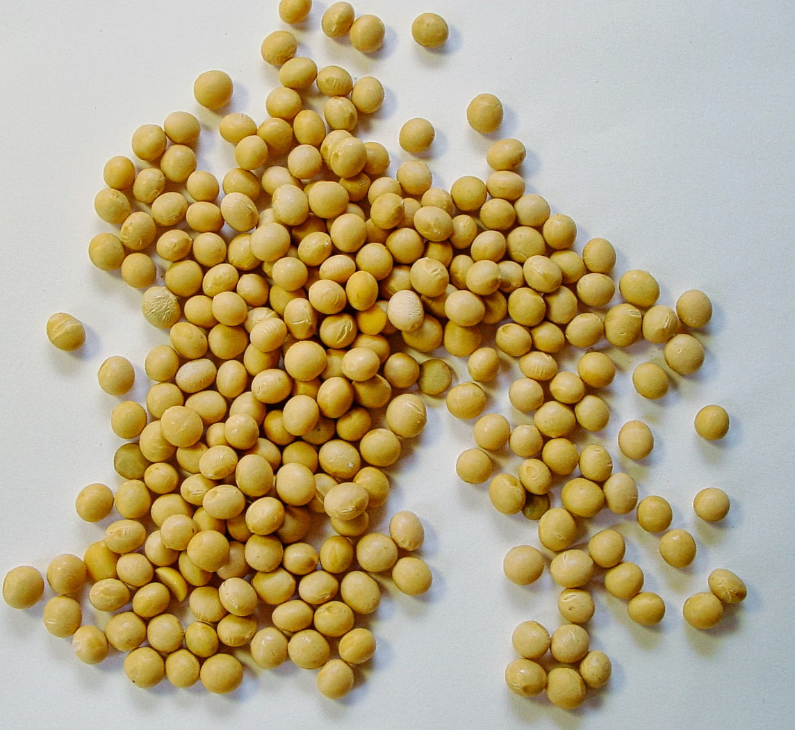 Top 8 Foods High in Magnesium 🍌